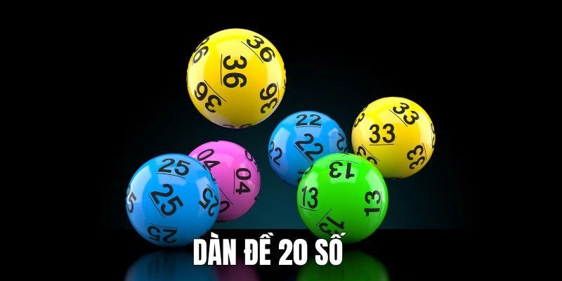 dan-de-20-so