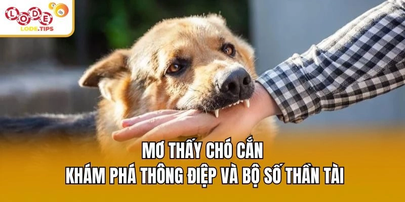 Mơ Thấy Chó Cắn - Khám Phá Thông Điệp Và Bộ Số Thần Tài